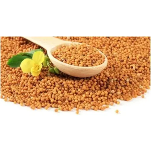 সরিষার-বীজ-1-1.webp
